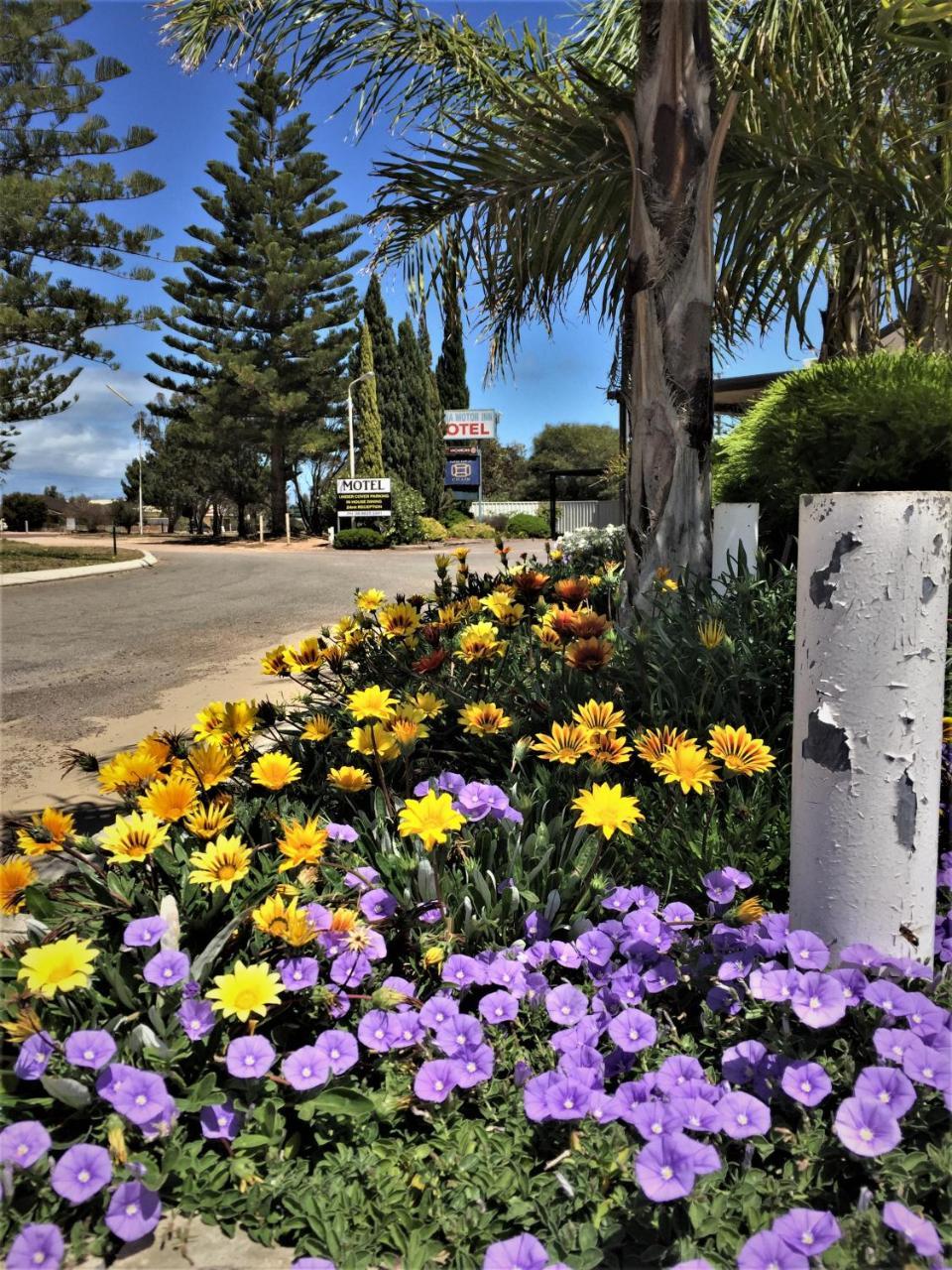 Motor Motel Ceduna